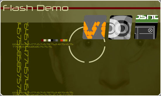 Flash Demo